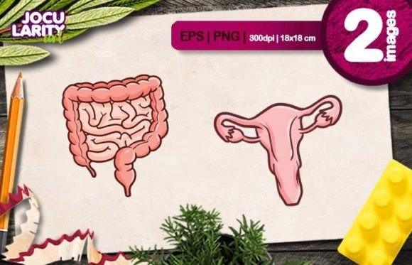 Funny Intestines and Womb Cartoon Vector: A Playful Design Asset